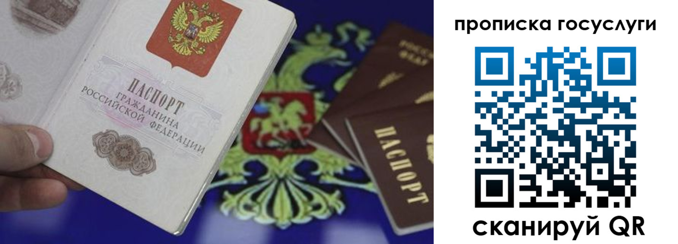 прописка для школы в Коломне